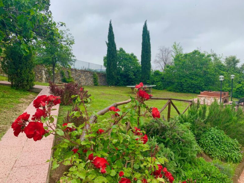 Podere L'Orsinghi App. C