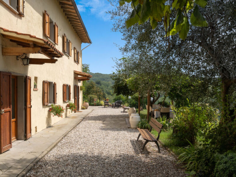 Trasassi