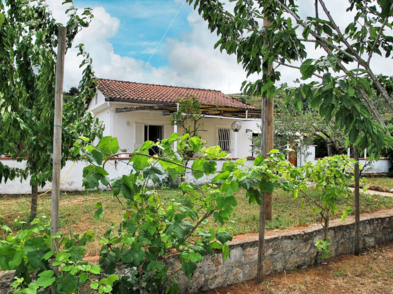 Atratina