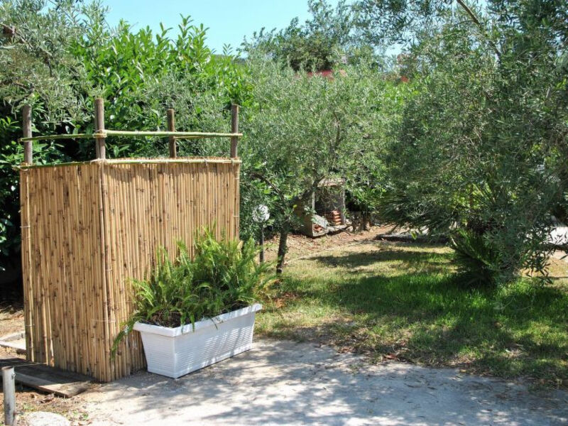Atratina