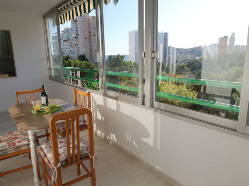 Pintor Solana