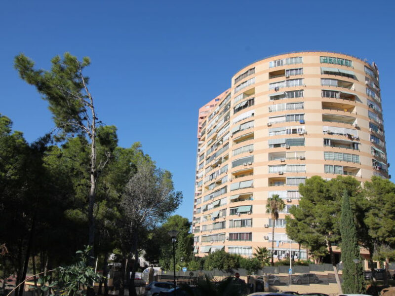 Pintor Solana