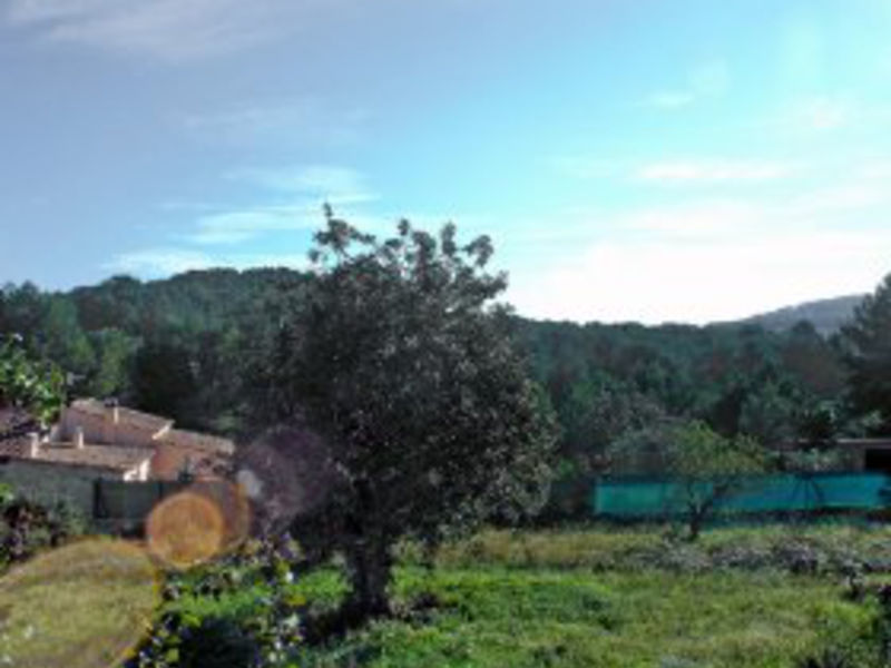 Amadorio
