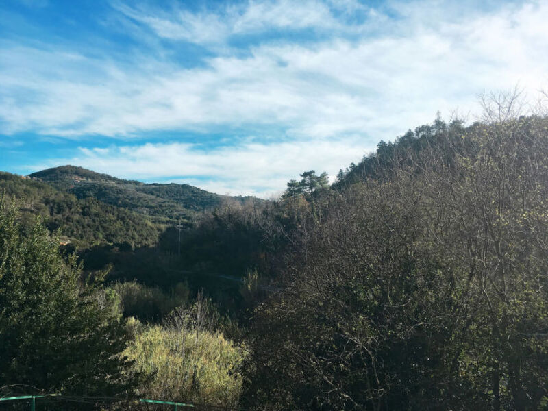 Il Borgo Delle Mimose