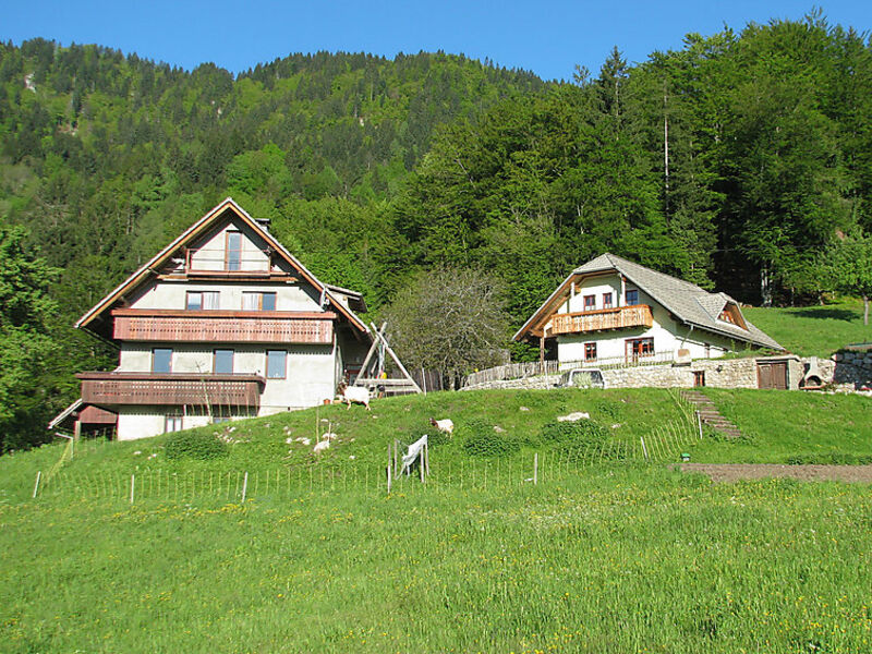 Tourist Farm Pr' Vazniku