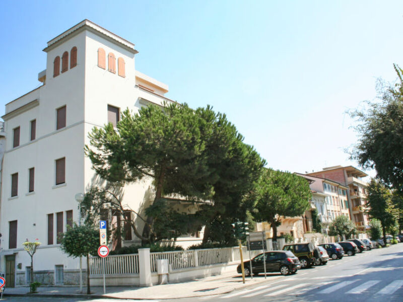 Il Pitosforo