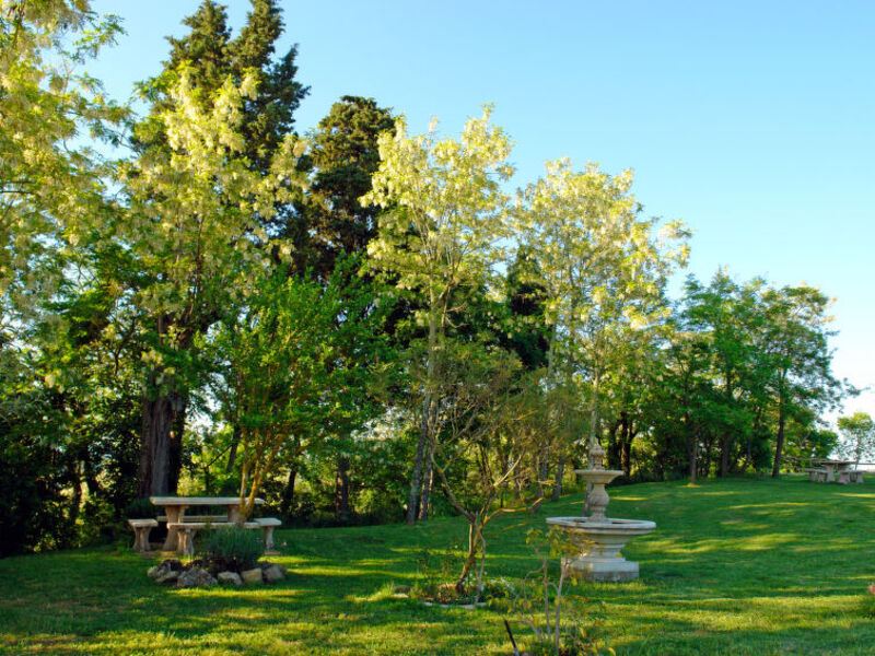 Casciaio