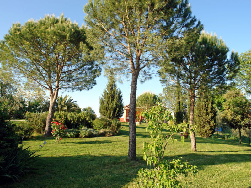 Casciaio