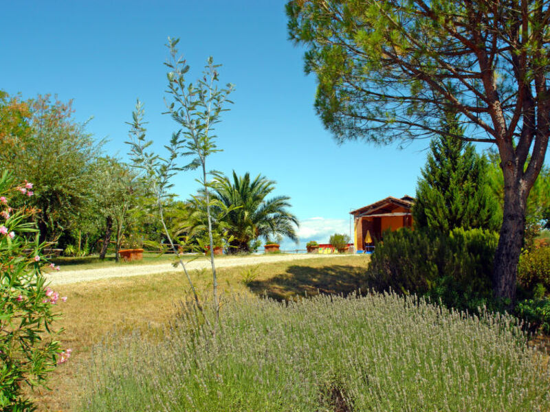 Casciaio