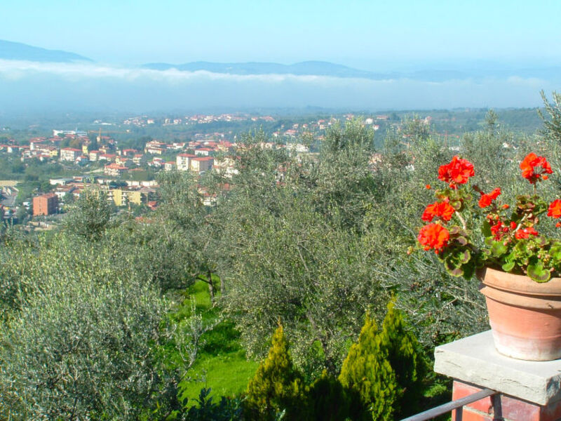 Podere Berrettino