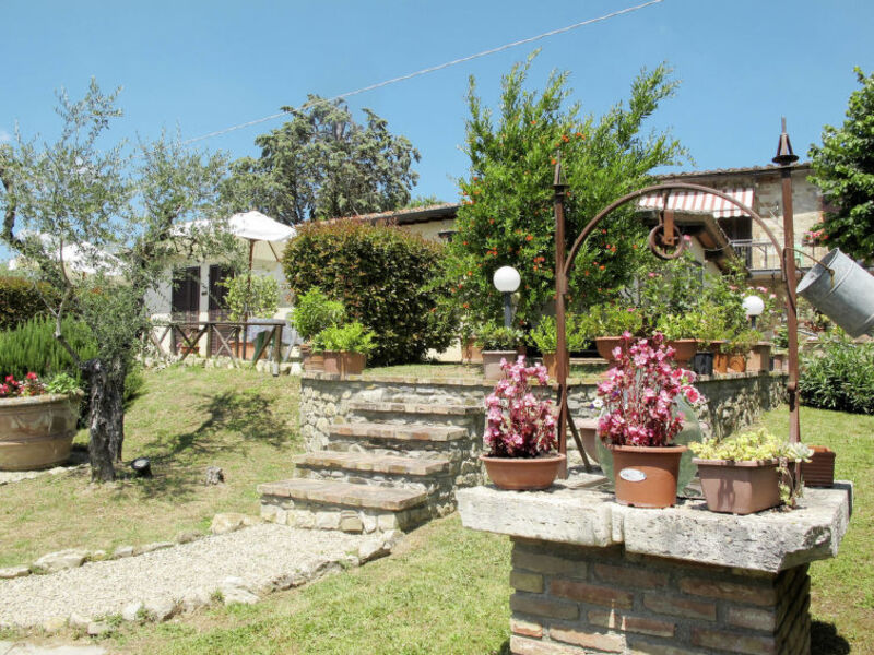 Picchio Della Tinaia