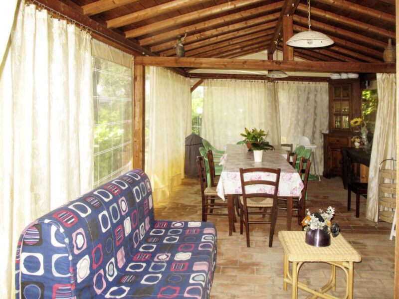 Picchio Della Tinaia