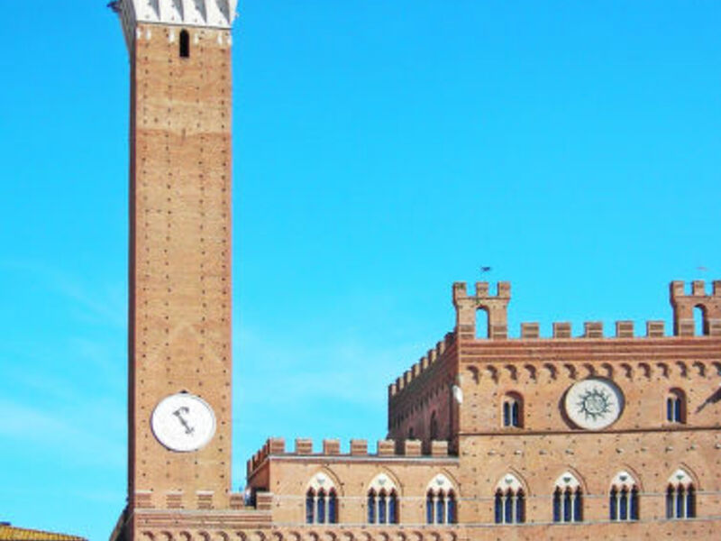 Picchio Della Tinaia