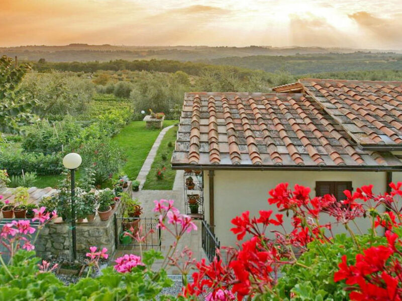 Picchio Della Tinaia