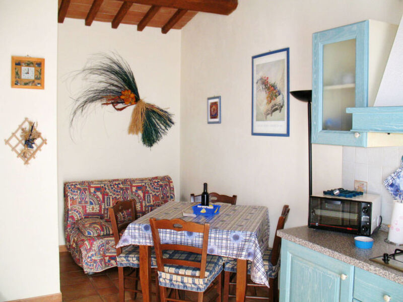 Picchio Della Tinaia