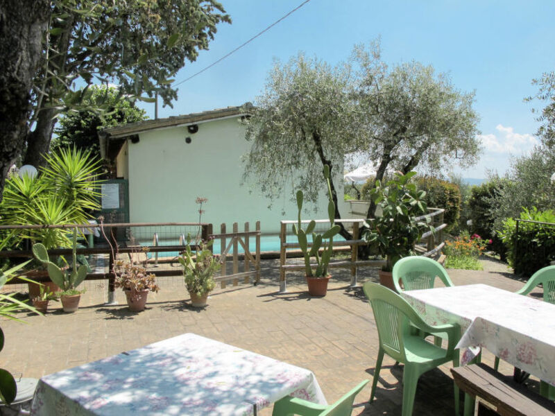 Picchio Della Tinaia