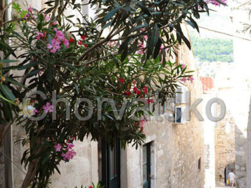 Apartmán Paloma Blanca