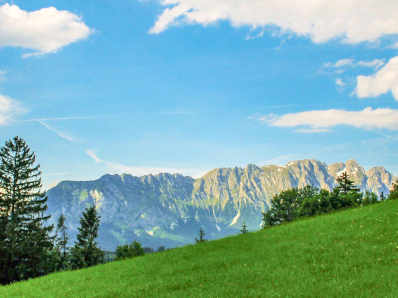 Alpenchalets Reiteralm