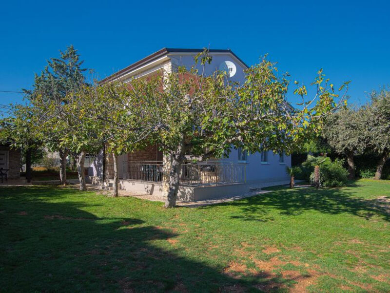 House Murenc