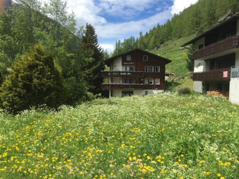 Cresta Di Saas