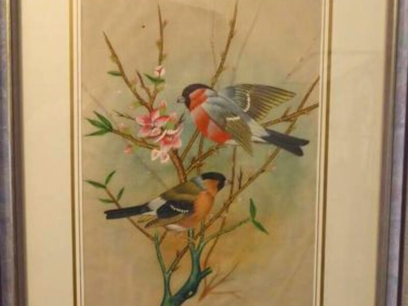 Am Vogelwald