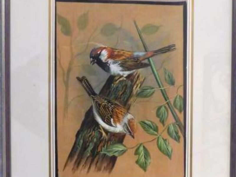 Am Vogelwald