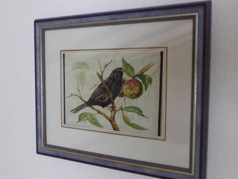 Am Vogelwald