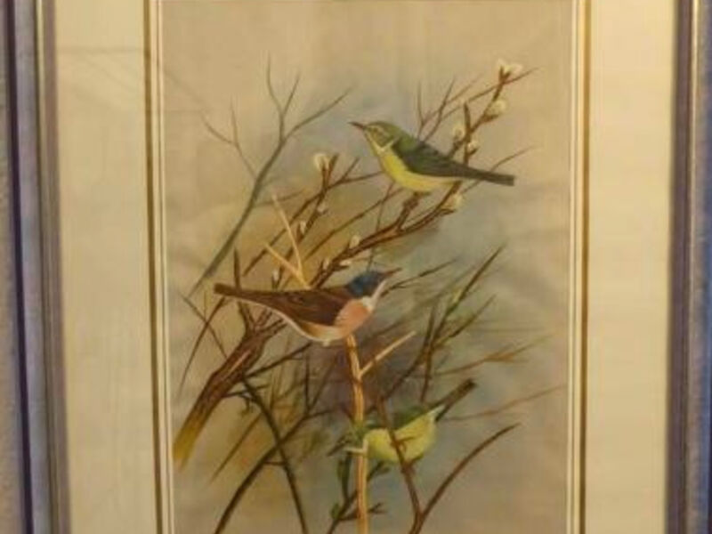 Am Vogelwald