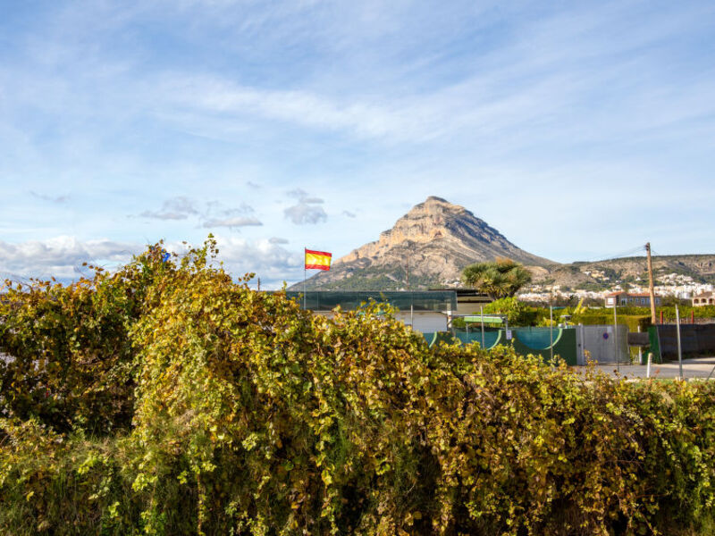 Arenal