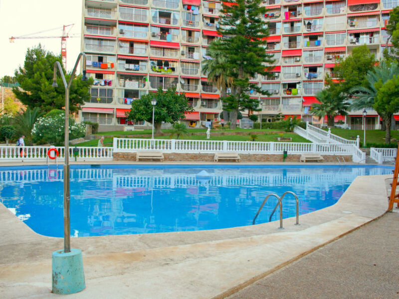 Playmon Park