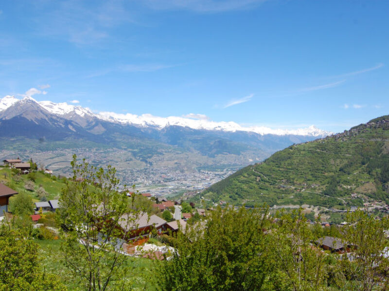 Le Dahu 8