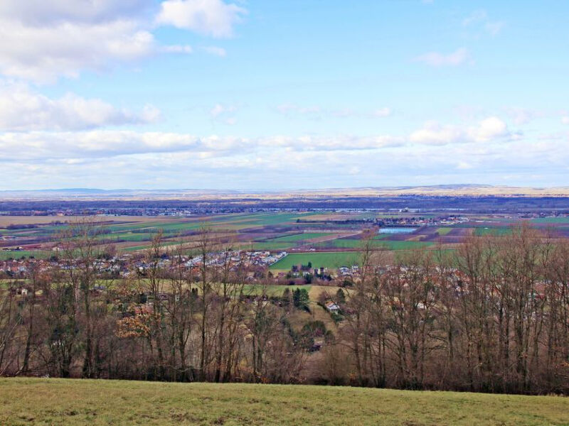 Tullnerfeld