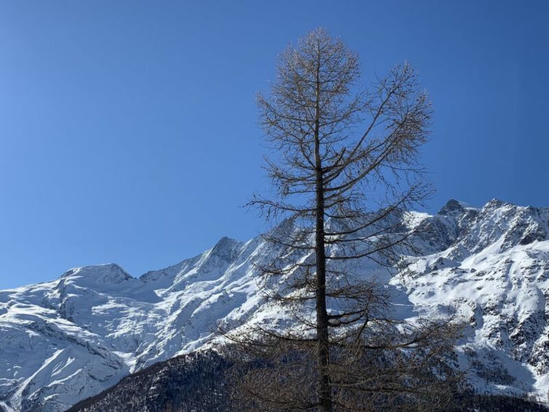 Chalet Sunstar, Kleine Wohnung