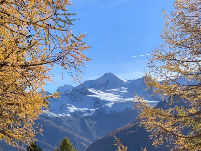 Chalet Sunstar, Kleine Wohnung
