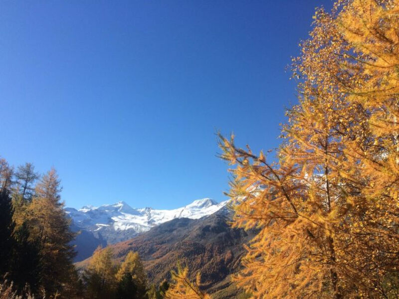 Chalet Sunstar, Kleine Wohnung