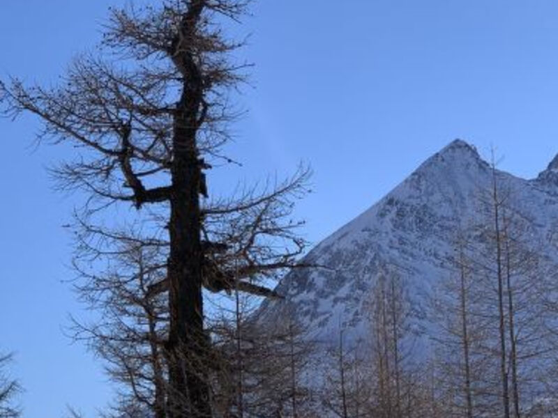 Chalet Sunstar, Kleine Wohnung