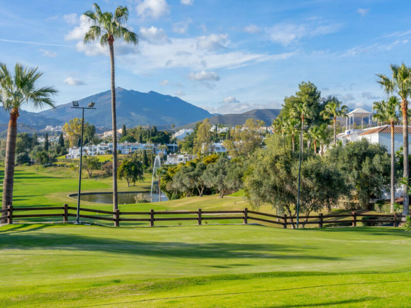 Aloha Golf