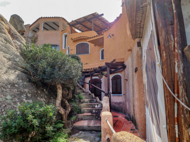 Orace
