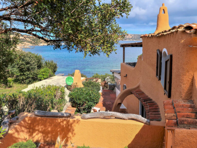 Orace