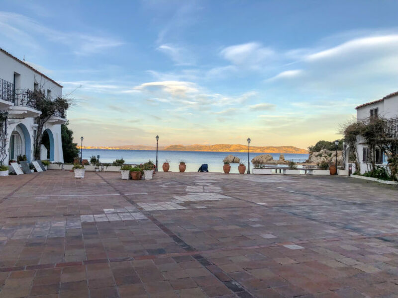 Orace
