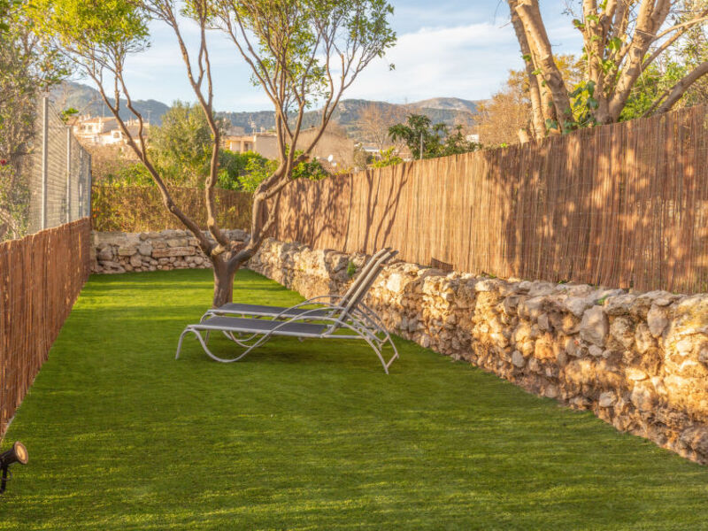 El Mirador