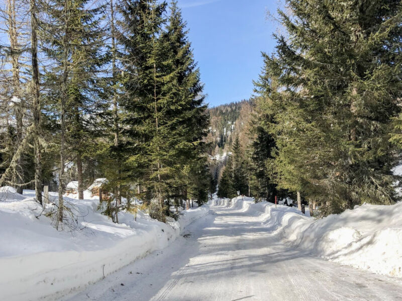 Tom´S Hütte