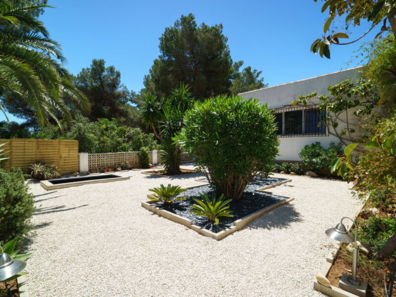 El Palmeral