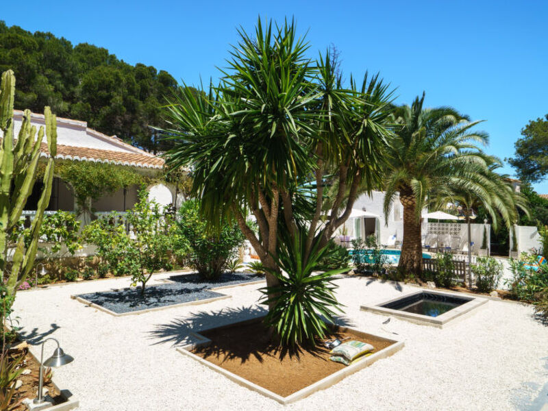 El Palmeral