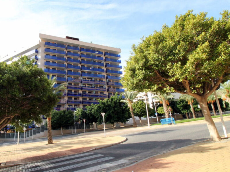 Estrella De La Cala Ii