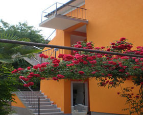 Apartmán 549-502
