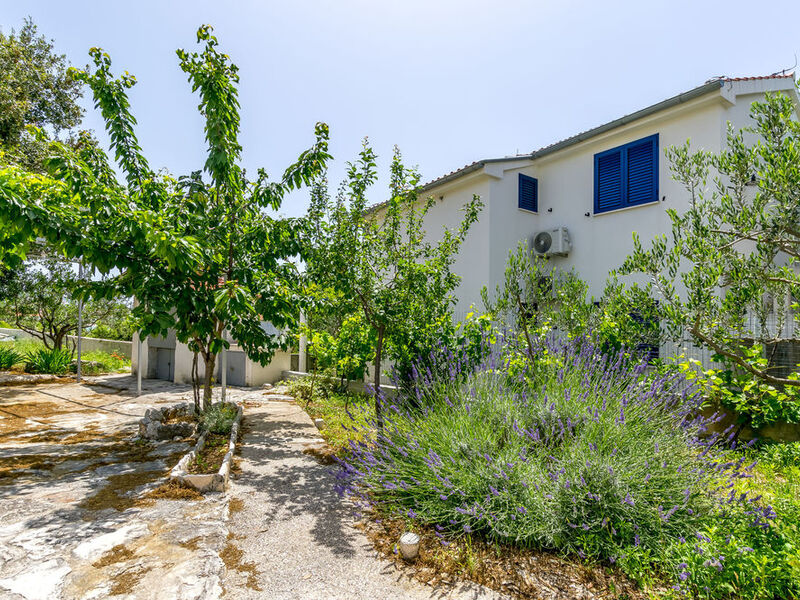 Apartmány 1355-1598