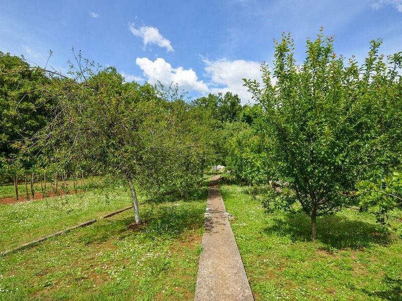 Apartmány 1355-1722