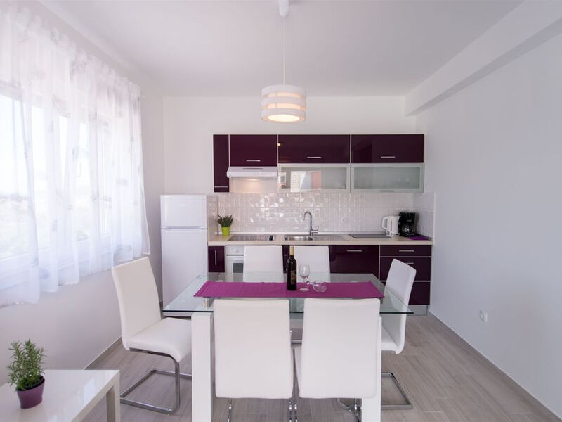 Apartmány 1355-1958