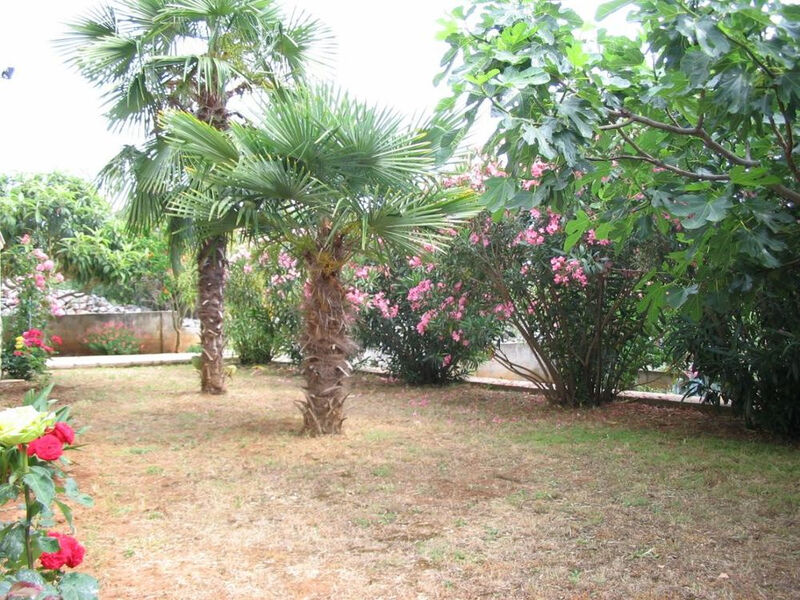 Apartmány 1355-2051